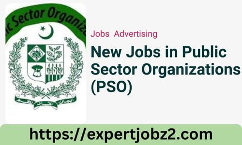 New Jobs in Public Sector Organizations 2024