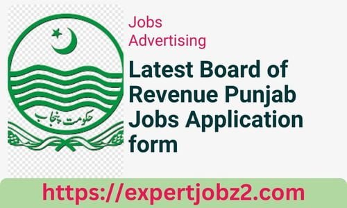 Latest Board of Revenue Punjab Jobs Application form