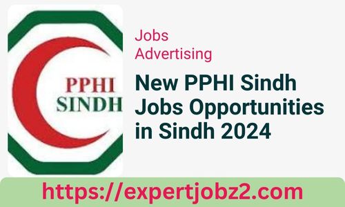 New PPHI Sindh Jobs Opportunities in Sindh 2024