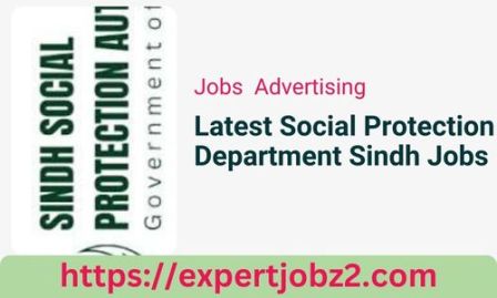 Latest Social Protection Department Sindh Jobs