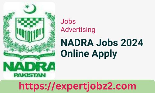 NADRA Jobs 2024 Online Apply