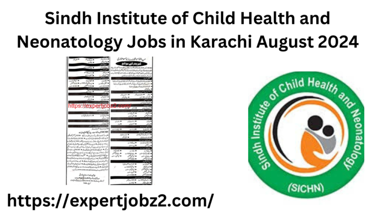 Sindh-Institute-of-Child-Health-and-Neonatology-Jobs-in-Karachi-August-2024.