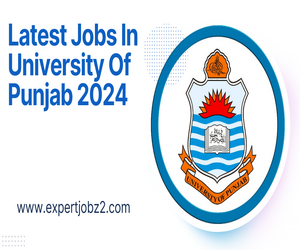 Latest Jobs In University Of Punjab 2024