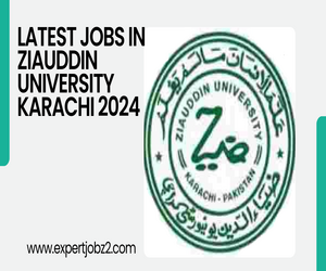 Apply for Online Jobs At Ziauddin University Karachi 2024